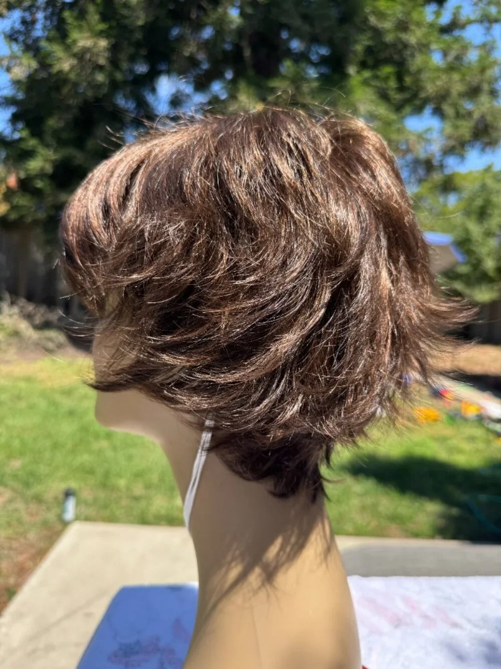 Rene of Paris Wig